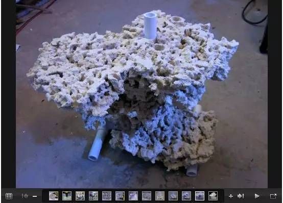 海豚魚缸迷你造景教程：如何為海豚魚缸創建一個迷你人造生態