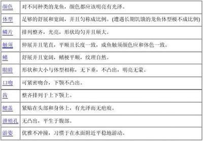 龍魚比賽評分標準最新：龍魚比賽的評分標準和規則