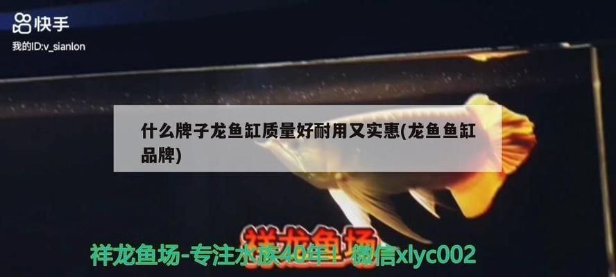 龍魚魚缸哪個品牌好：優質龍魚魚缸品牌