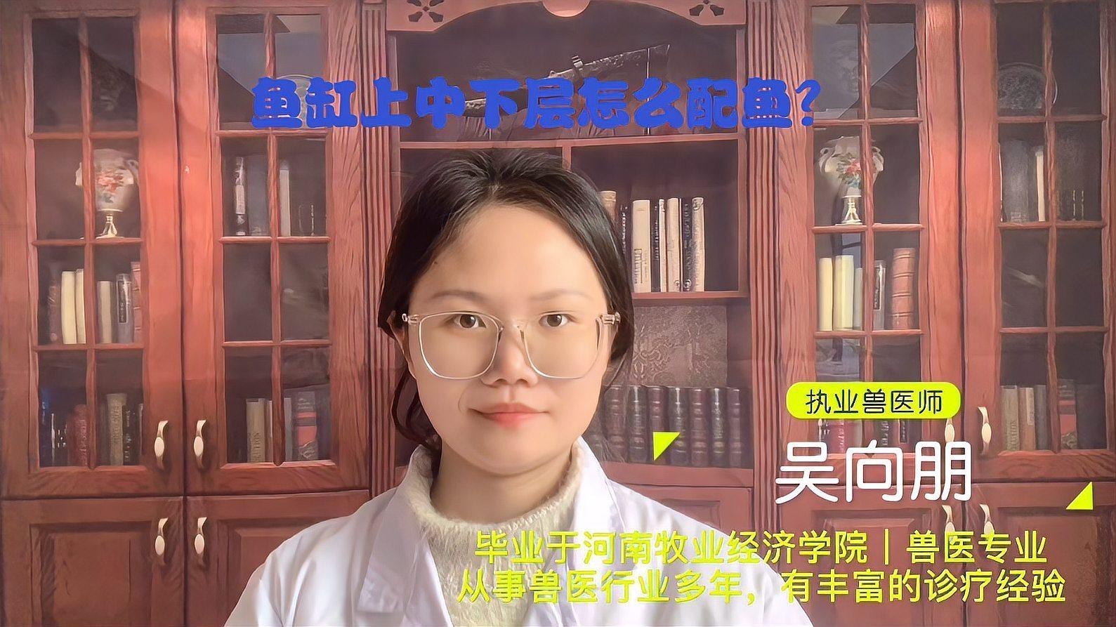 和龍魚一樣的上層魚