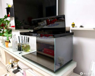 床頭放小魚缸：小魚缸放在床頭柜上不是一個很好的選擇臥室魚缸最佳擺放位置 床頭放小魚缸：小魚缸放在床頭柜上不是一個很好的選擇臥室魚缸最佳擺放位置 魚缸百科 第2張