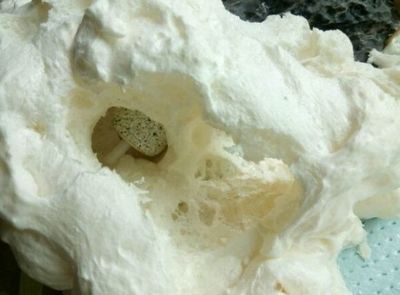 魚缸底下往上冒泡的物品是什么？：魚缸底下往上冒泡怎么辦？
