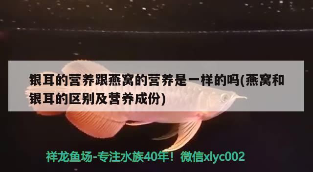 歷城區(qū)老張寵物店