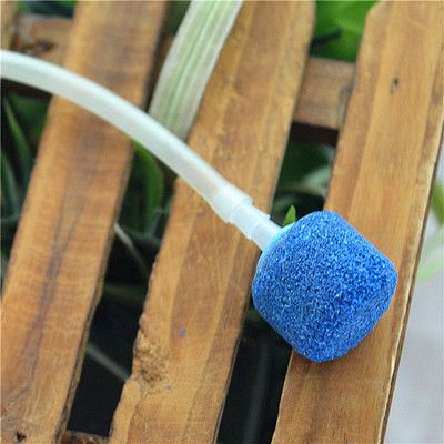 魚缸增氧泵不出氣怎么修理（魚缸增氧泵不出氣怎么修理,） 魚缸增氧泵不出氣怎么修理（魚缸增氧泵不出氣怎么修理,） 魚缸百科 第3張