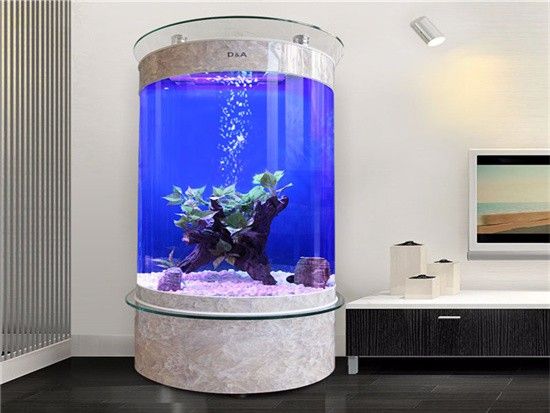 好一點的魚缸多少錢，亞克力魚缸與玻璃魚缸對比魚缸品牌推薦及評價