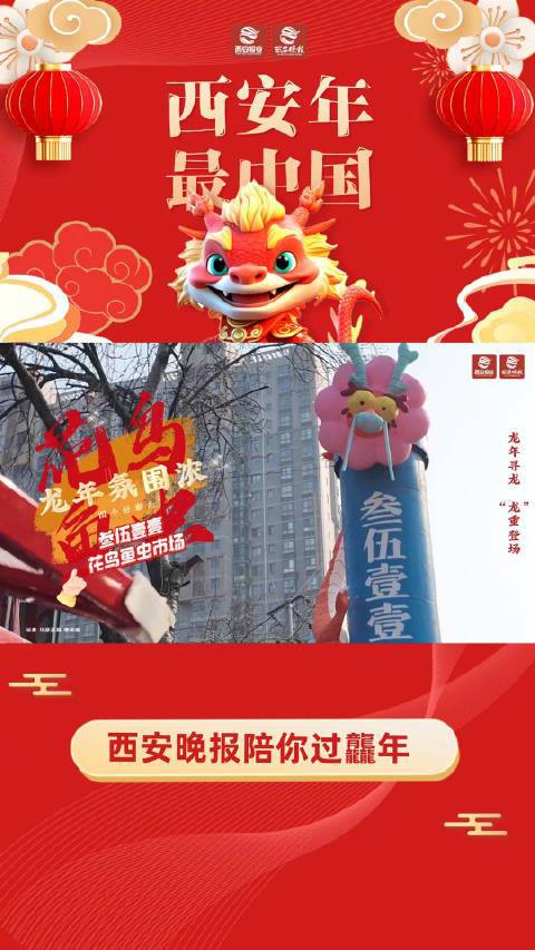 西安龍魚市場怎么樣 西安龍魚市場怎么樣 龍魚百科 第7張