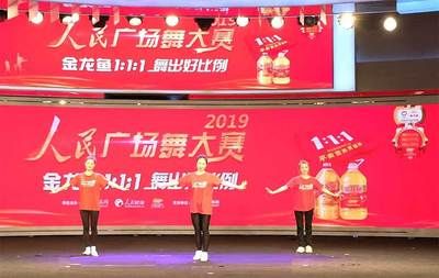 南寧金龍魚：南寧金龍魚市場價格走勢