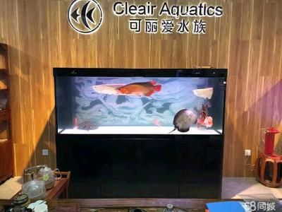 可麗愛魚缸售后維修電話24h（可麗愛魚缸售后電話） 可麗愛魚缸售后維修電話24h（可麗愛魚缸售后電話） 魚缸百科 第3張
