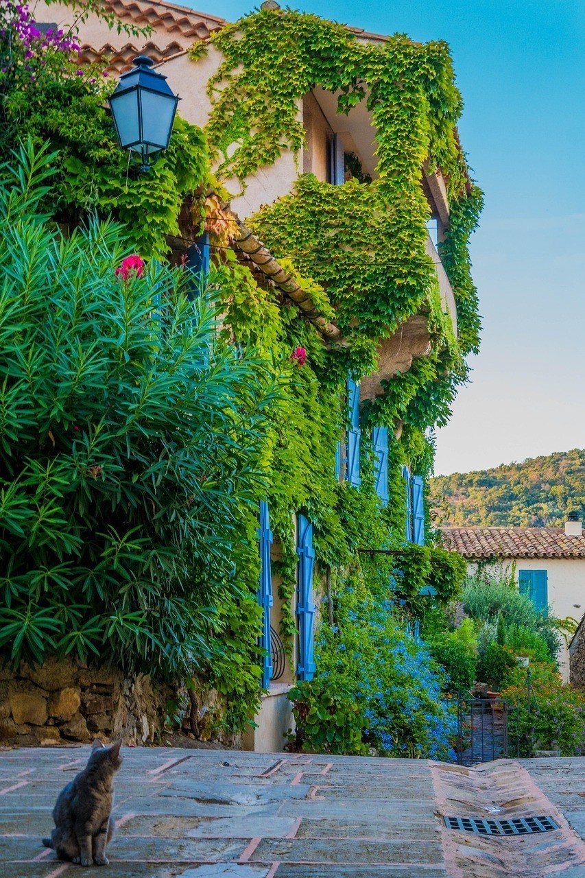 廣州市芳村花地繽紛水族館（廣州市芳村花地繽紛水族館電話） 廣州市芳村花地繽紛水族館（廣州市芳村花地繽紛水族館電話） 全國水族館企業名錄 第2張