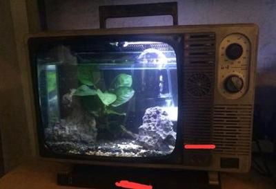 電視改魚缸視頻（如何將舊電視機改造成魚缸） 電視改魚缸視頻（如何將舊電視機改造成魚缸） 魚缸百科 第3張