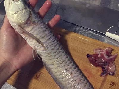 龍魚的做法及配料：幾種常見的龍魚做法及其配料，龍魚的做法及其配料