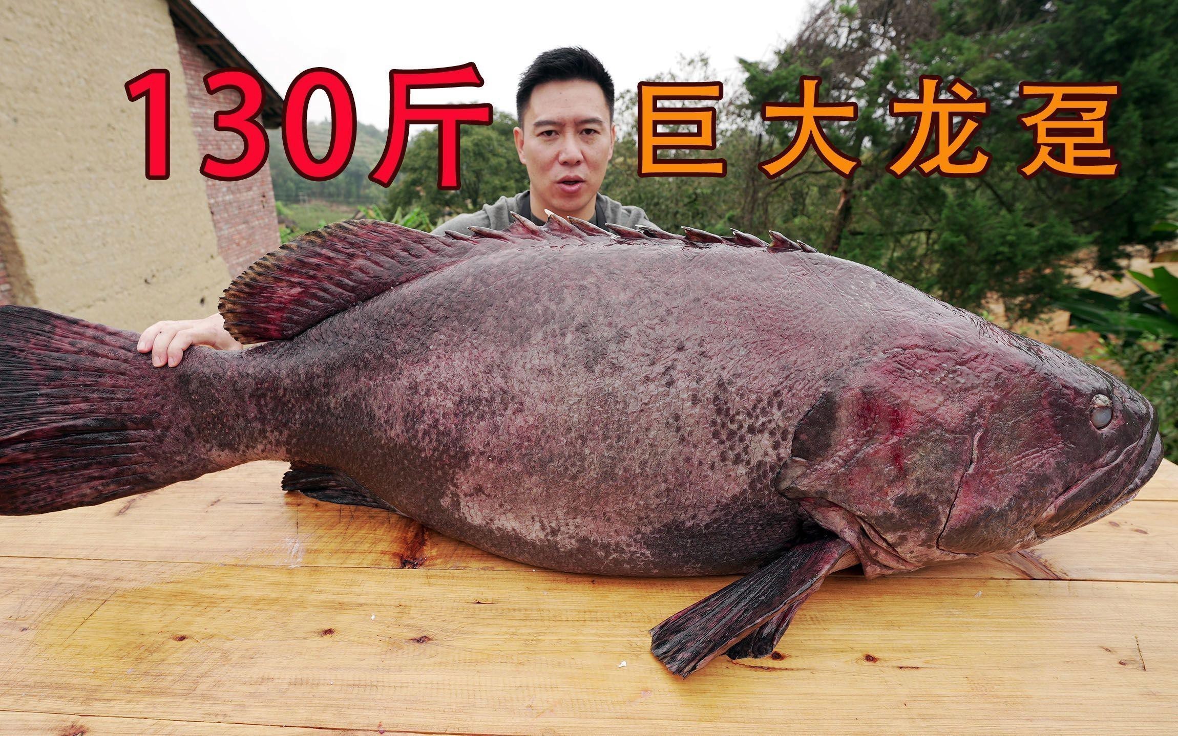 如何清洗和準(zhǔn)備龍躉魚(yú)？