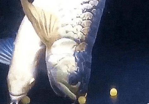 河南賽美騰生物科技有限公司（河南賽美騰生物科技有限公司怎么樣）