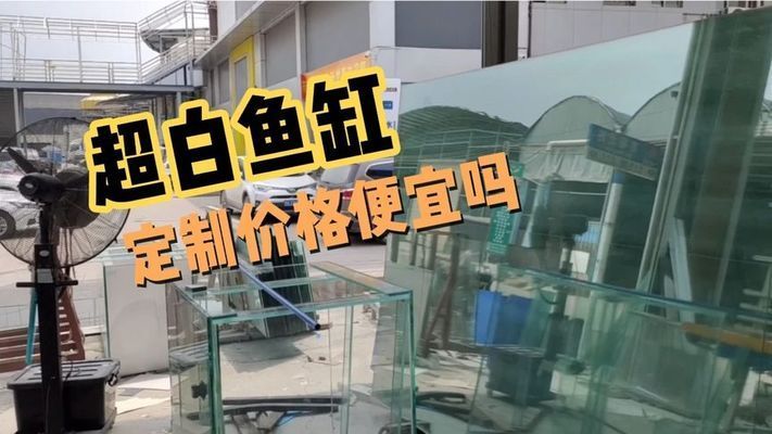 惠利得魚缸（惠利得魚缸用戶評(píng)價(jià)如何,惠利得魚缸適合養(yǎng)哪些魚）