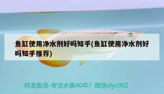 深圳市龍崗區(qū)橫崗魚魚魚缸店