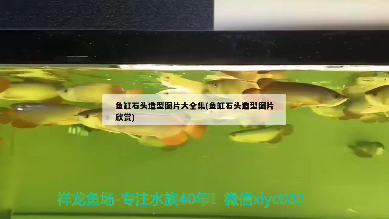 湖南萬(wàn)佳惠商業(yè)連鎖有限責(zé)任公司安沙店