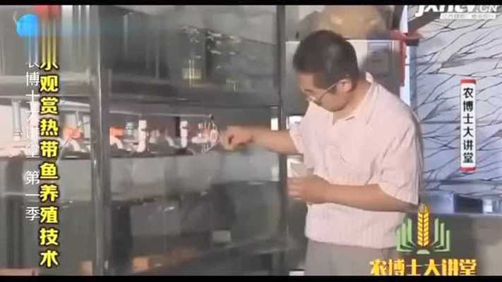 瑞金市象湖鎮漁人碼頭水族館（瑞金市象湖鎮漁人碼頭水族館電話） 瑞金市象湖鎮漁人碼頭水族館（瑞金市象湖鎮漁人碼頭水族館電話） 全國水族館企業名錄
