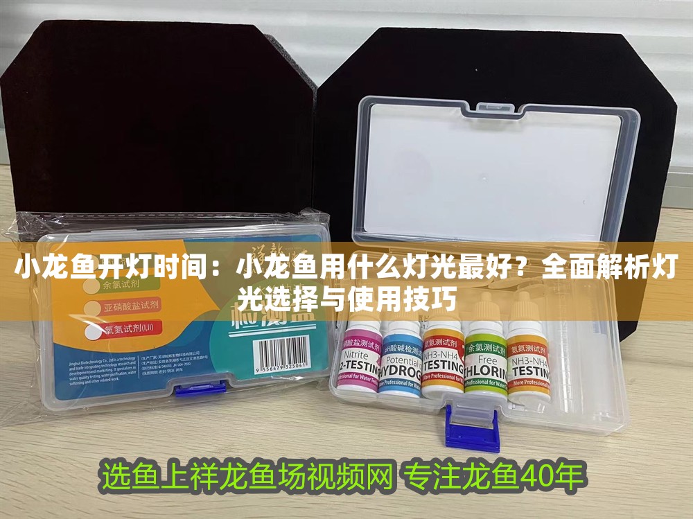 小龍魚開燈時間：小龍魚用什么燈光最好？全面解析燈光選擇與使用技巧
