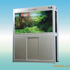 養龍魚需要什么過濾器材最好：養龍魚需要一套完整的過濾系統來保證水質的健康