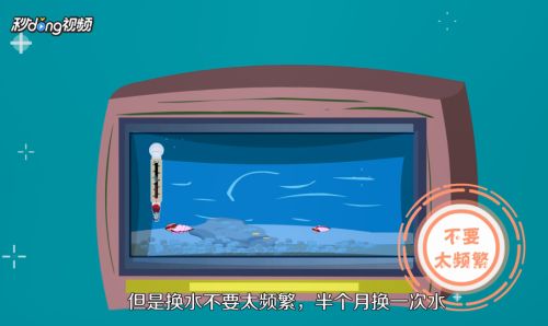 七彩龍魚怎么養(yǎng)？：七彩龍魚的飼養(yǎng)方法及要點(diǎn)