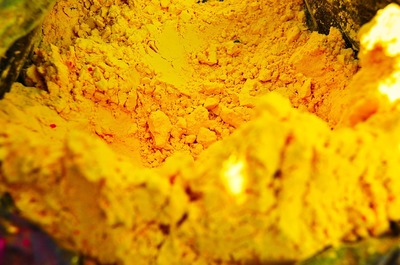 中衛市可麗愛水族店（中衛市可麗愛水族店電話）