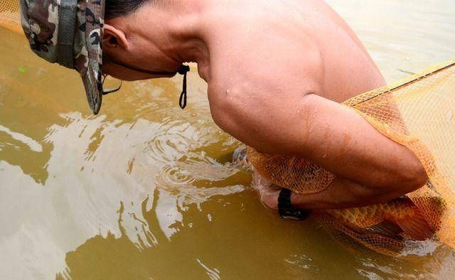 喂養龍魚能帶手套不:喂養龍魚可以戴手套嗎 龍魚百科 第2張 喂養龍魚能帶手套不:喂養龍魚可以戴手套嗎 喂養龍魚能帶手套不:喂養龍魚可以戴手套嗎 龍魚百科 第2張