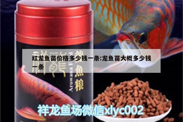 紅金龍魚苗多少錢一條（紅金龍魚苗價格大致在50-60元之間的價格對比）