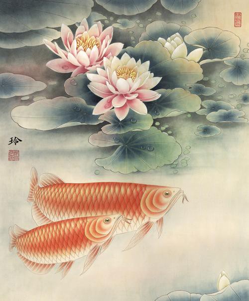 金龍魚上色方法圖片 金龍魚上色方法圖片 龍魚百科 第6張