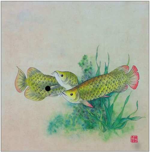 金龍魚上色方法圖片 金龍魚上色方法圖片 龍魚百科 第20張