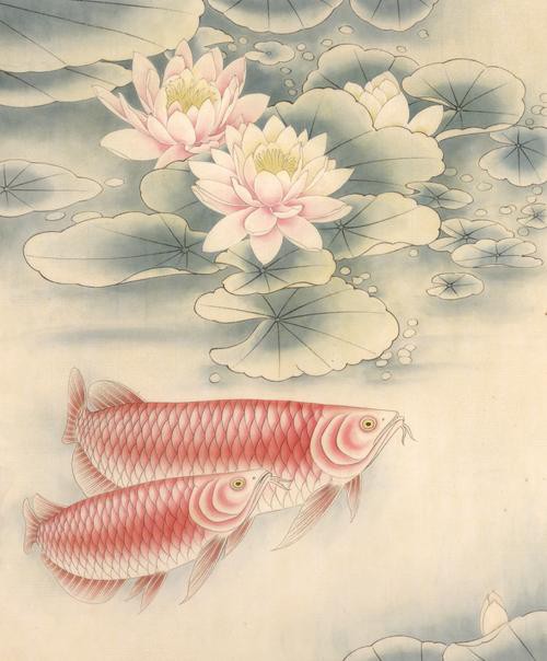 金龍魚上色方法圖片 金龍魚上色方法圖片 龍魚百科 第19張