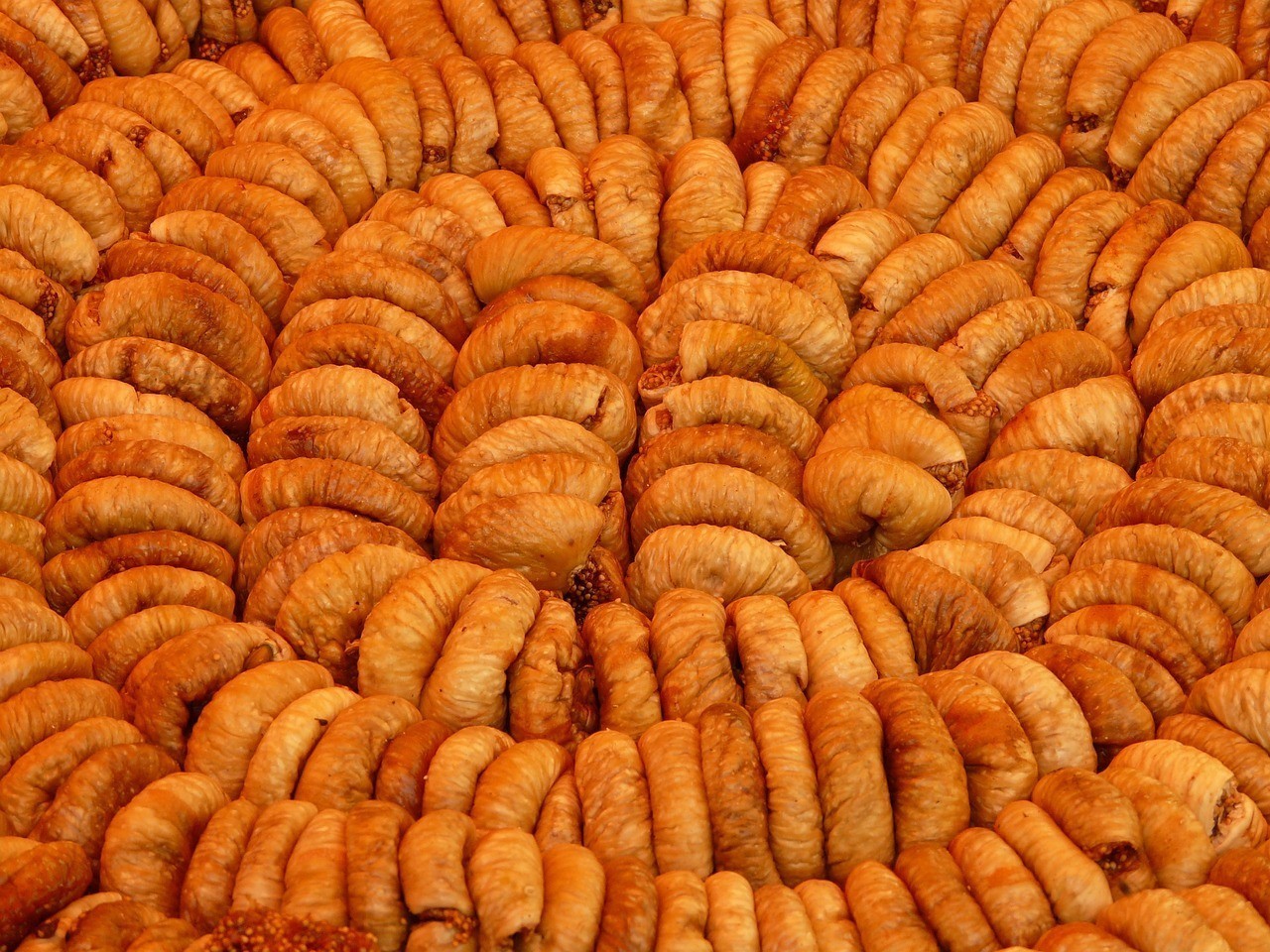 <strong><mark>梁山</mark></strong>縣洪勝黃粉蟲養(yǎng)殖專業(yè)合作社