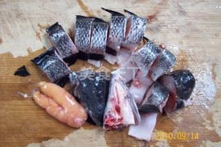 烏龍魚（烏龍魚是一種什么樣的魚？）
