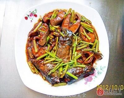 烏龍魚（烏龍魚是一種什么樣的魚？）