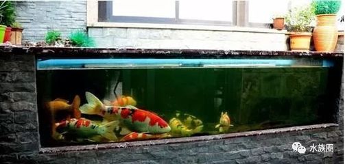 太原市<strong><mark>尖草坪</mark></strong>區(qū)趙偉養(yǎng)殖場(chǎng)（太原市<strong><mark>尖草坪</mark></strong>區(qū)趙偉養(yǎng)殖場(chǎng)電話號(hào)碼）