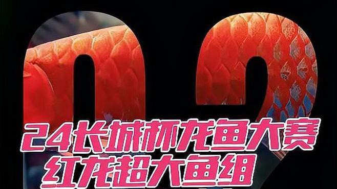 如何搜索高清紅龍魚視頻？