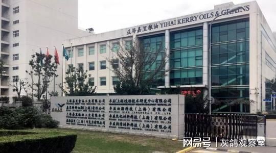 金龍魚屬于外資嗎，