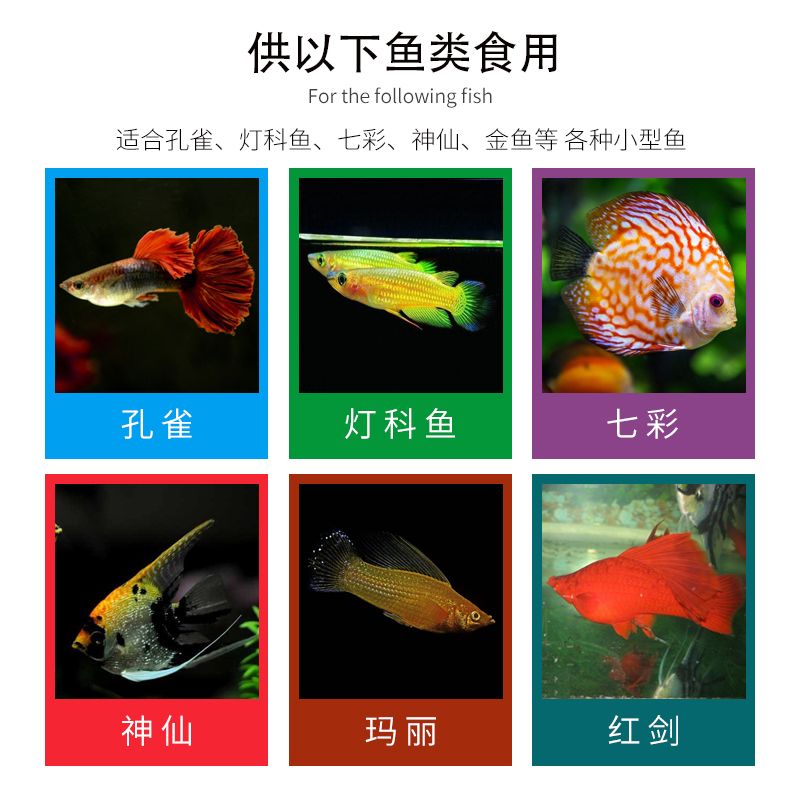 七彩神仙魚繁殖期飼料選擇，七彩神仙魚繁殖期飼料品牌推薦
