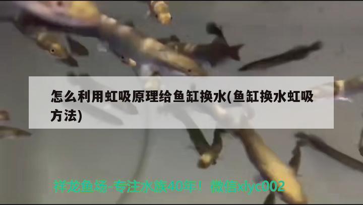 北京奇珍賢賞工藝品店
