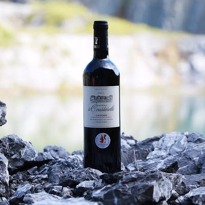 南龍魚（南龍魚是一個常見的名稱但實(shí)際上可能指代不同的魚類） 南龍魚（南龍魚是一個常見的名稱但實(shí)際上可能指代不同的魚類） 龍魚百科 第5張