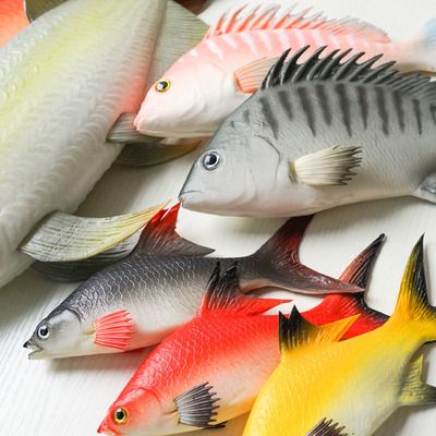 龍魚吃水果和蔬菜
