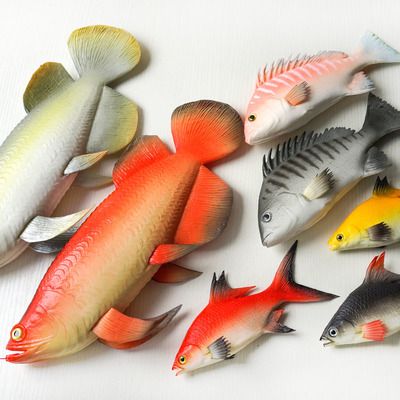龍魚吃水果和蔬菜