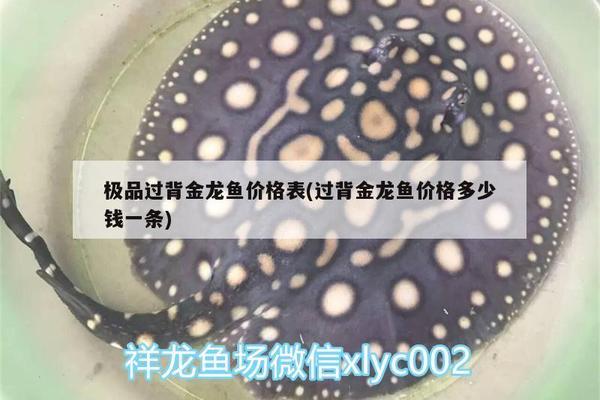 濮陽市奇趣商貿有限公司（濮陽市奇趣商貿有限公司怎么樣）