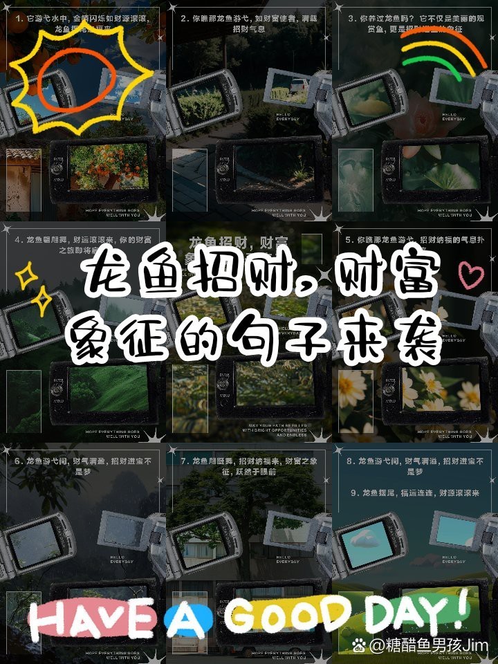 金龍魚吉祥語怎么說的 金龍魚吉祥語怎么說的 龍魚百科 第4張