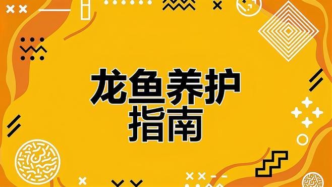 龍魚拒食期間換水需要注意什么？ 龍魚拒食期間換水需要注意什么？ 龍魚百科 第1張