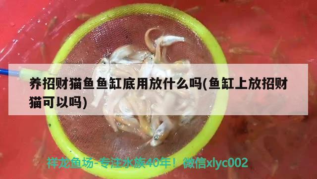 濉溪縣幸運板材店