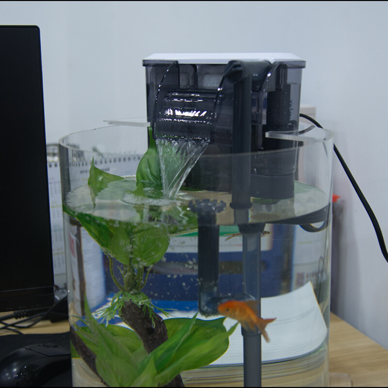 大連經(jīng)濟(jì)技術(shù)開發(fā)區(qū)<strong><mark>裕民</mark></strong>新苑大河錦鯉觀賞魚店（大連開發(fā)區(qū)大河錦鯉養(yǎng)殖場(chǎng)）