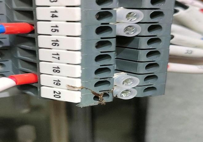 金龍魚電線質量全國排名：金龍羽電線國際認證詳情金龍羽電線國際認證詳情 金龍魚電線質量全國排名：金龍羽電線國際認證詳情金龍羽電線國際認證詳情 龍魚百科 第1張