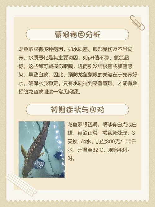 龍魚蒙眼的原因和治療方法圖片視頻