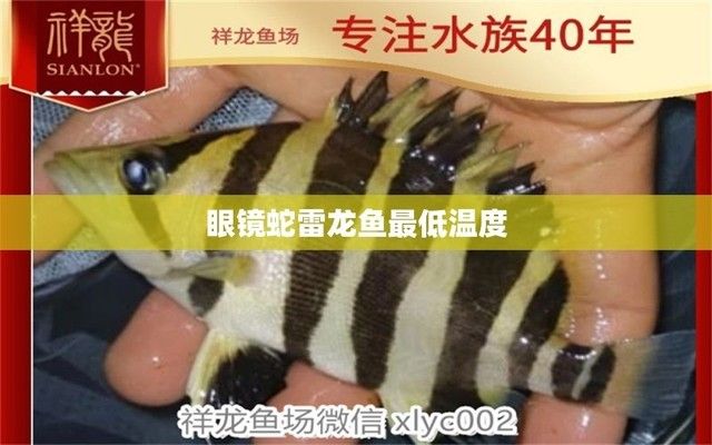 黃金眼鏡蛇雷龍魚適合多少度水溫（黃金眼鏡蛇雷龍魚適合的水溫范圍是24至28攝氏度）