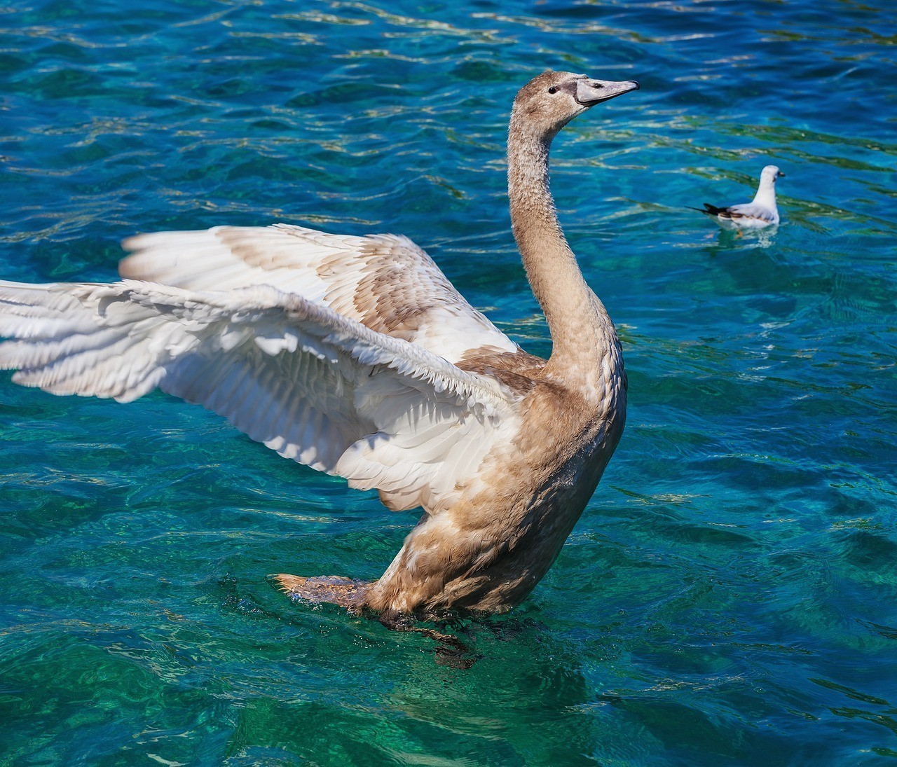海豐縣海城鎮海洲水族館：海豐縣海城鎮海洲水族館電話